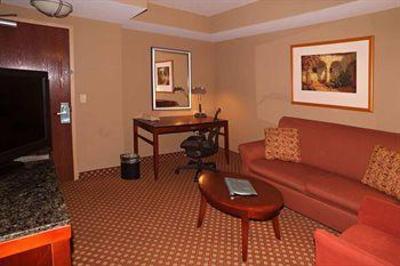 фото отеля Hilton Garden Inn Tampa Northwest Oldsmar