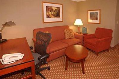 фото отеля Hilton Garden Inn Tampa Northwest Oldsmar