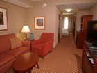 фото отеля Hilton Garden Inn Tampa Northwest Oldsmar