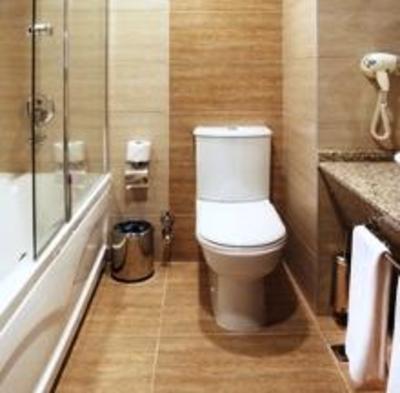 фото отеля Hotel Arya
