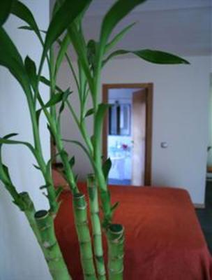фото отеля Hotel Real de Illescas