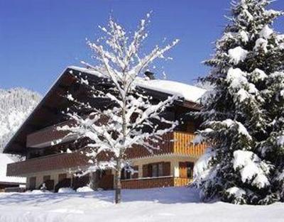 фото отеля Chatel Tour Apartments