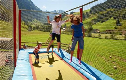 фото отеля Bauernhof Hotel Oberkarteis Huttschlag