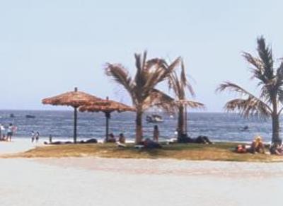 фото отеля Beach Hostel