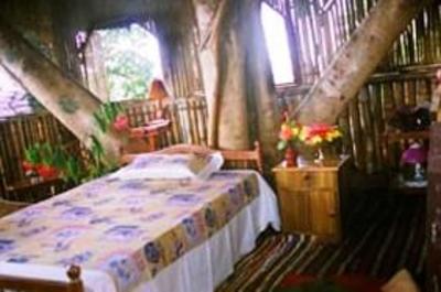 фото отеля Chamundi Hill Palace Ayurvedic Resort