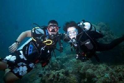 фото отеля Blue Ribbon Divers & Sunsplash Resort Puerto Galera