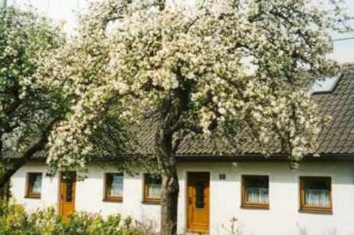 фото отеля Gastehaus Apfelbaum