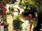 фото отеля Parque Tropical Hotel Gran Canaria