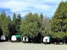 фото отеля Petunia Camping