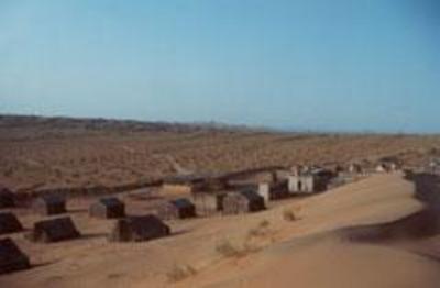 фото отеля Al Areesh Desert Camp