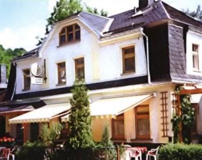 фото отеля Hotel und Gasthof zur Schmiede