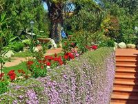 Hotel Tirrena