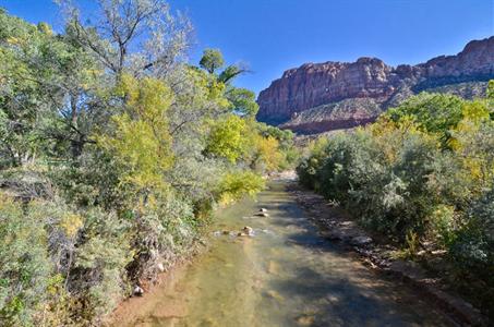 фото отеля Best Western Zion Park Inn