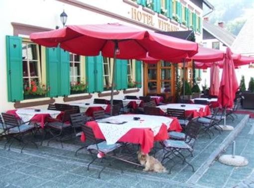 фото отеля Hotel & Apartments Vitranc
