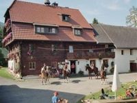 Bauernhof Schilcherhof Reitstall Plank