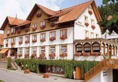 фото отеля Landhotel Rebstock Schonach