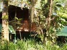 фото отеля Selva Verde Lodge