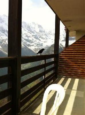 фото отеля Alpina Hotel Murren