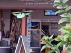 фото отеля Paradise On The Beach Resort Palm Cove