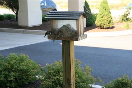 фото отеля Hampton Inn Lewisburg