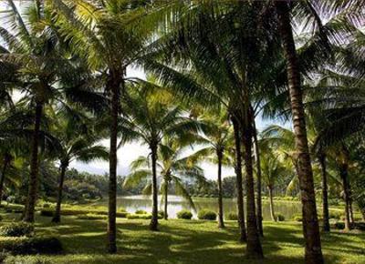 фото отеля Le Meridien Shimei Bay Beach Resort & Spa