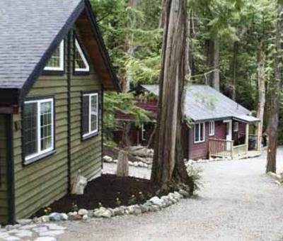 фото отеля Surfs Inn Rainforest Cottages