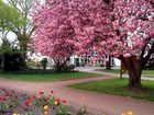 фото отеля Prodomo Hotel Soest