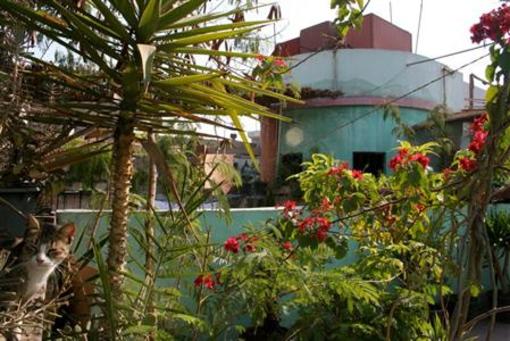 фото отеля Dahab Hostel