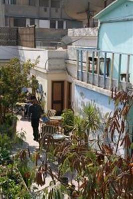 фото отеля Dahab Hostel