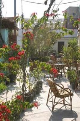 фото отеля Dahab Hostel