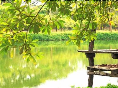 фото отеля The Legacy River Kwai Resort Kanchanaburi