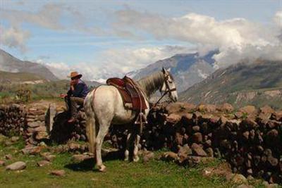 фото отеля Tradicion Colca