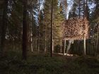 фото отеля Treehotel