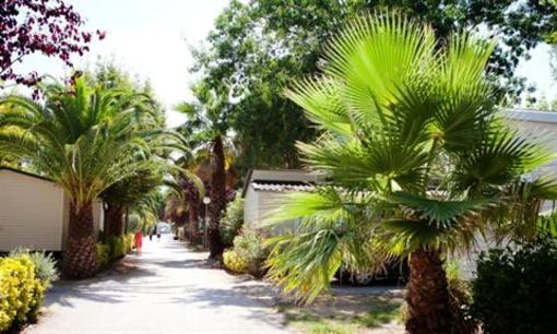фото отеля Camping Le Littoral Argeles-sur-Mer