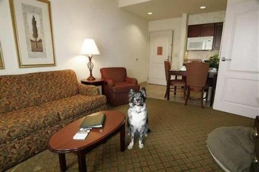 фото отеля Homewood Suites Southwind Memphis