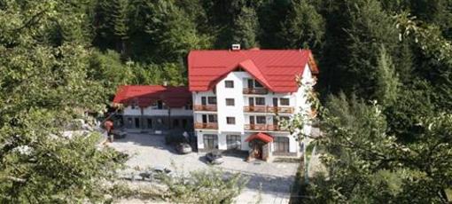 фото отеля Hotel Paltinis