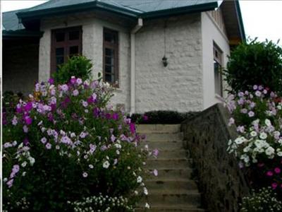 фото отеля Tea Bush Hotel