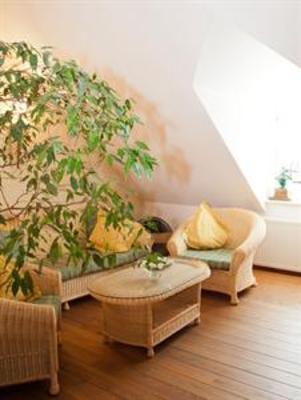 фото отеля Landgasthof Hotel Rebstock Stühlingen
