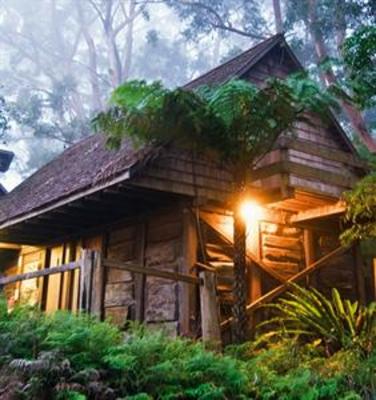 фото отеля Binna Burra Mountain Lodge Beechmont