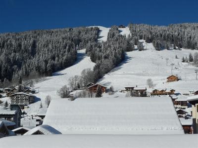 фото отеля Chalet Hotel Aiguille Blanche