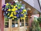 фото отеля New Forest Lodge