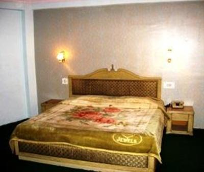 фото отеля Hotel Ankit Palace