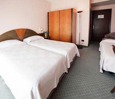 фото отеля Hotel Rosa Abano Terme