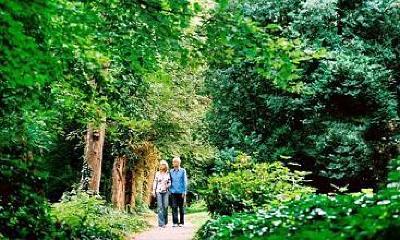 фото отеля Gartenhotel Altmannsdorf Hotel 2