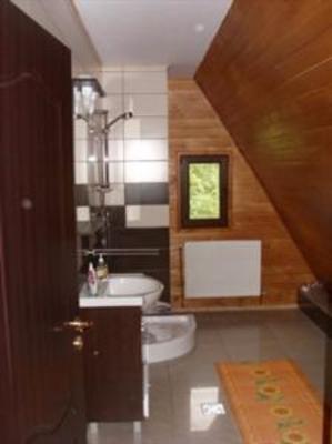 фото отеля Pension Floarea Bucovinei