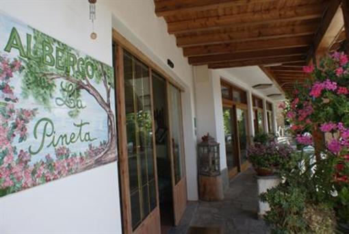 фото отеля Albergo La Pineta