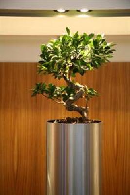 фото отеля Crowne Plaza Lille Hotel