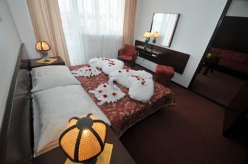 фото отеля Hotel Magnolia Piestany