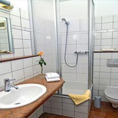 фото отеля Hotel Am Schwan