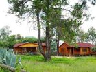 фото отеля Pine Tree Lodge